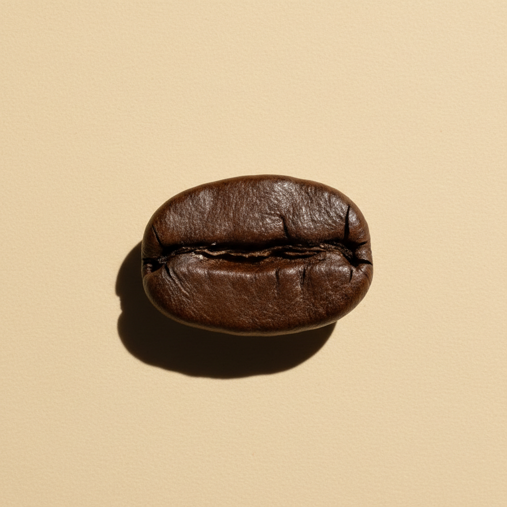A single roasted coffee bean on warm beige paper